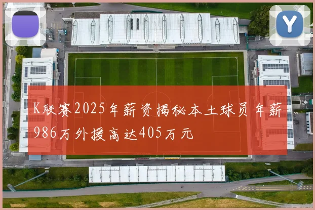 K联赛2025年薪资揭秘本土球员年薪986万外援高达405万元