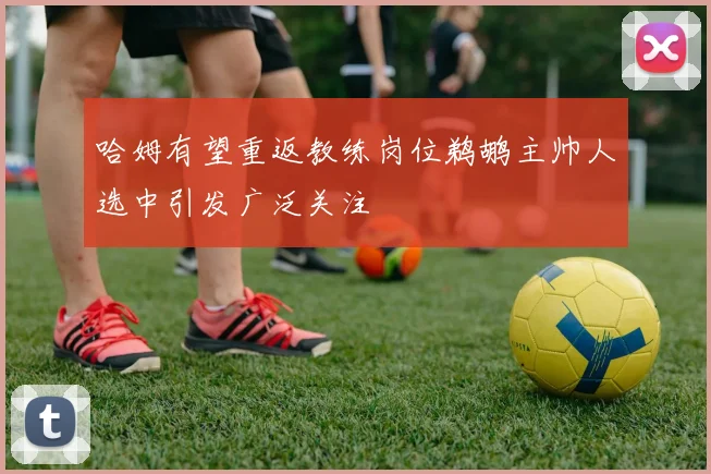 哈姆有望重返教练岗位鹈鹕主帅人选中引发广泛关注