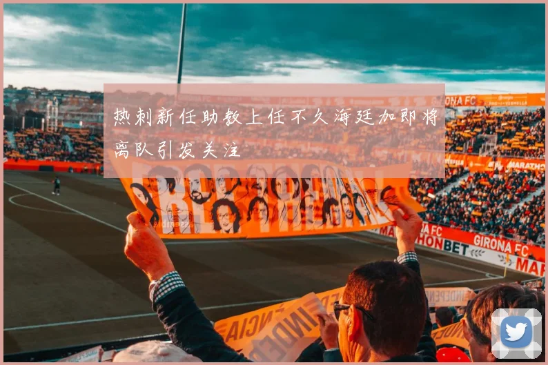 热刺新任助教上任不久海廷加即将离队引发关注