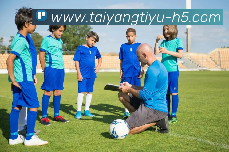 太阳城APP 封面图